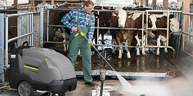 FARMER USING PRESSURE WASHER TO HOSE DOWN COW SHED WITH COWS IN THE BACKGROUND BEHIND A GATE