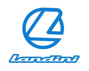 BLUE LANDINI LOGO